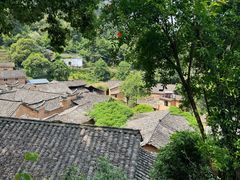 -杨家堂村