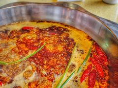 -田鸭肠·非遗火锅(彭州店)