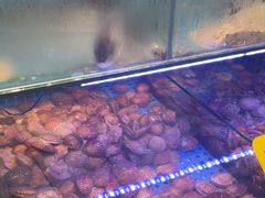 -前王院•巧克力海鲜市集餐厅(万平口店)