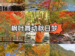-关门山森林公园