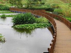 -五甲塘生态湿地公园