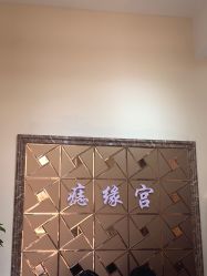 -痣缘宫