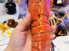 -半岛听涛蒸汽海鲜自助(K11店)