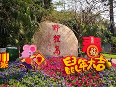 -野狸岛