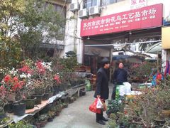 -潘玉麟糖粥
