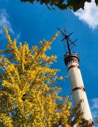 -悦诗风吟innisfree