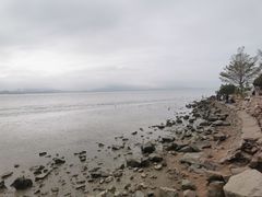 -深圳湾公园(南山区)