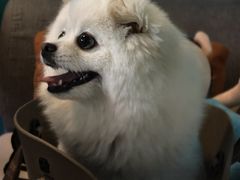 -默迹咖啡馆