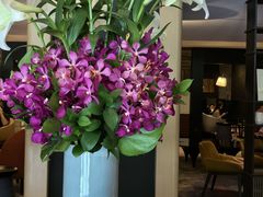 -新加坡瑞士史丹福酒店