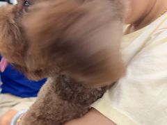 -瑞鹏宠物医院·超声·骨科·奇麟分院(蜀都万达店)