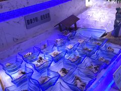 -澜悦港海鲜体验主题餐厅