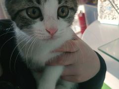 -乖乖乐动物医院(小汤山分院)