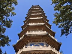 -灵谷景区