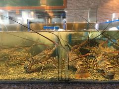 -Isla Sugbu Seafood City