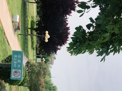 -丁家河公园