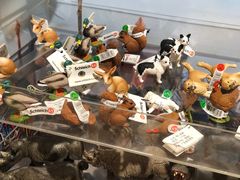 -远洋未来广场(育慧北路店)