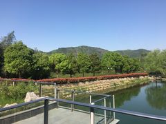 -帐篷客·溪龙茶谷度假酒店