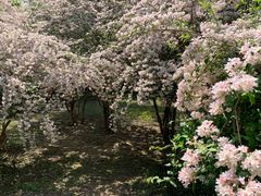 -太阳宫公园