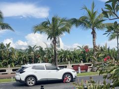 -野狸岛