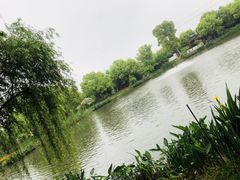 -鹅湖玫瑰文化园