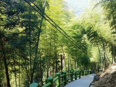 -藏龙百瀑风景区