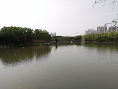 -昆山城市生态森林公园