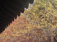 -钱王祠