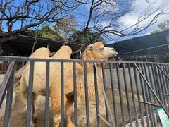 -泉州海丝野生动物世界