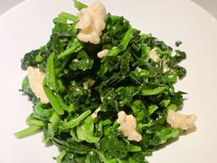 -来相会饺子·新辽菜(甘家口店)