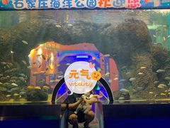 -石家庄海洋公园