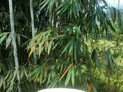 -英西峰林·洞天仙境