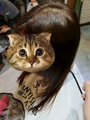 -剪艺人生