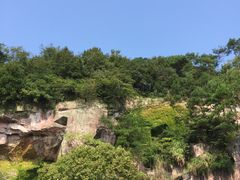 -蛇蟠岛