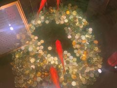 -到家尝北京菜(西坝河店)