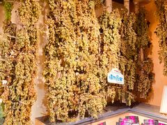 -新疆国际大巴扎