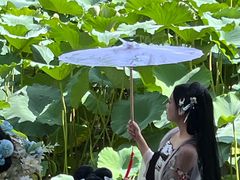 -莲池书院博物馆