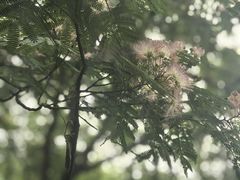 -杭州城北体育公园