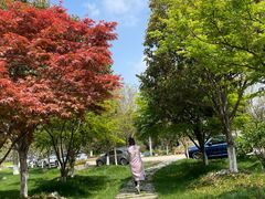 -桃园农庄·桃源宴