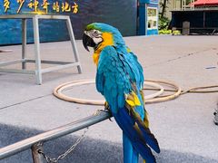 -南京银杏湖乐园