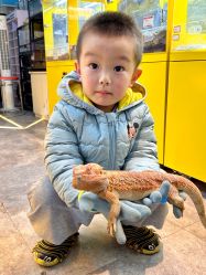 -神奇动物撸宠馆·羊驼·小浣熊·异宠(豫园店)
