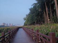 -南宁南湖公园
