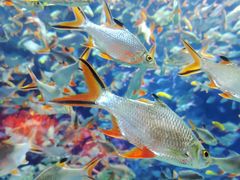 -成都浩海立方海洋公园