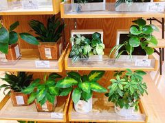 -MUJI无印良品(环球港店)