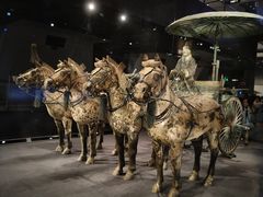 -秦始皇帝陵博物院-丽山园