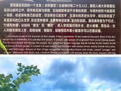-西双版纳原始森林公园