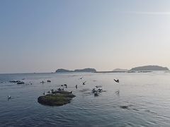 -燕窝岭