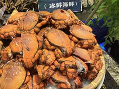 -初色海鲜自助(万丰路店)