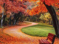 -长白岛森林公园