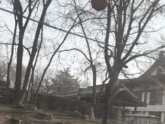 -大慈恩寺(大雁塔)