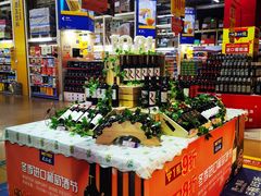 -麦德龙(十里河店)